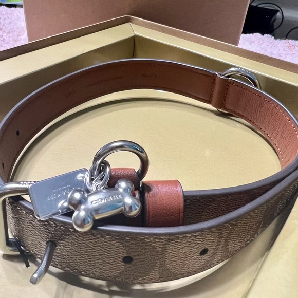 Coach Dog Coach Pet Collar Large Khaki Poshmark